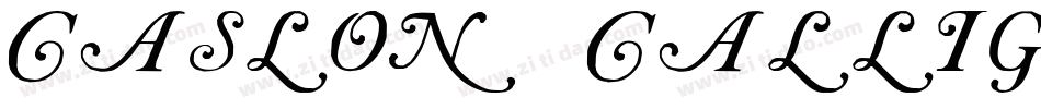 Caslon Calligraphic Initials字体转换